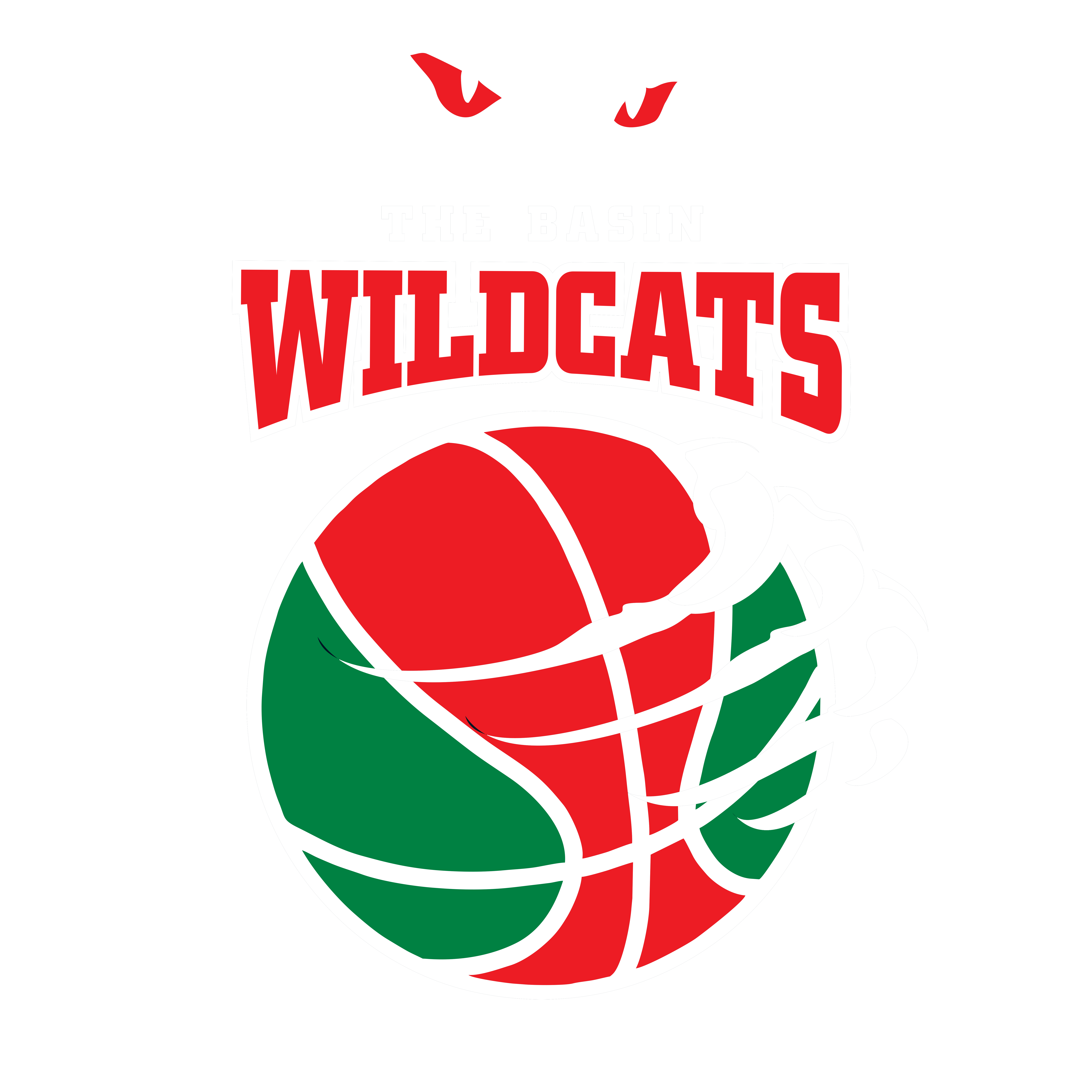 The Basin Wildcats Logo