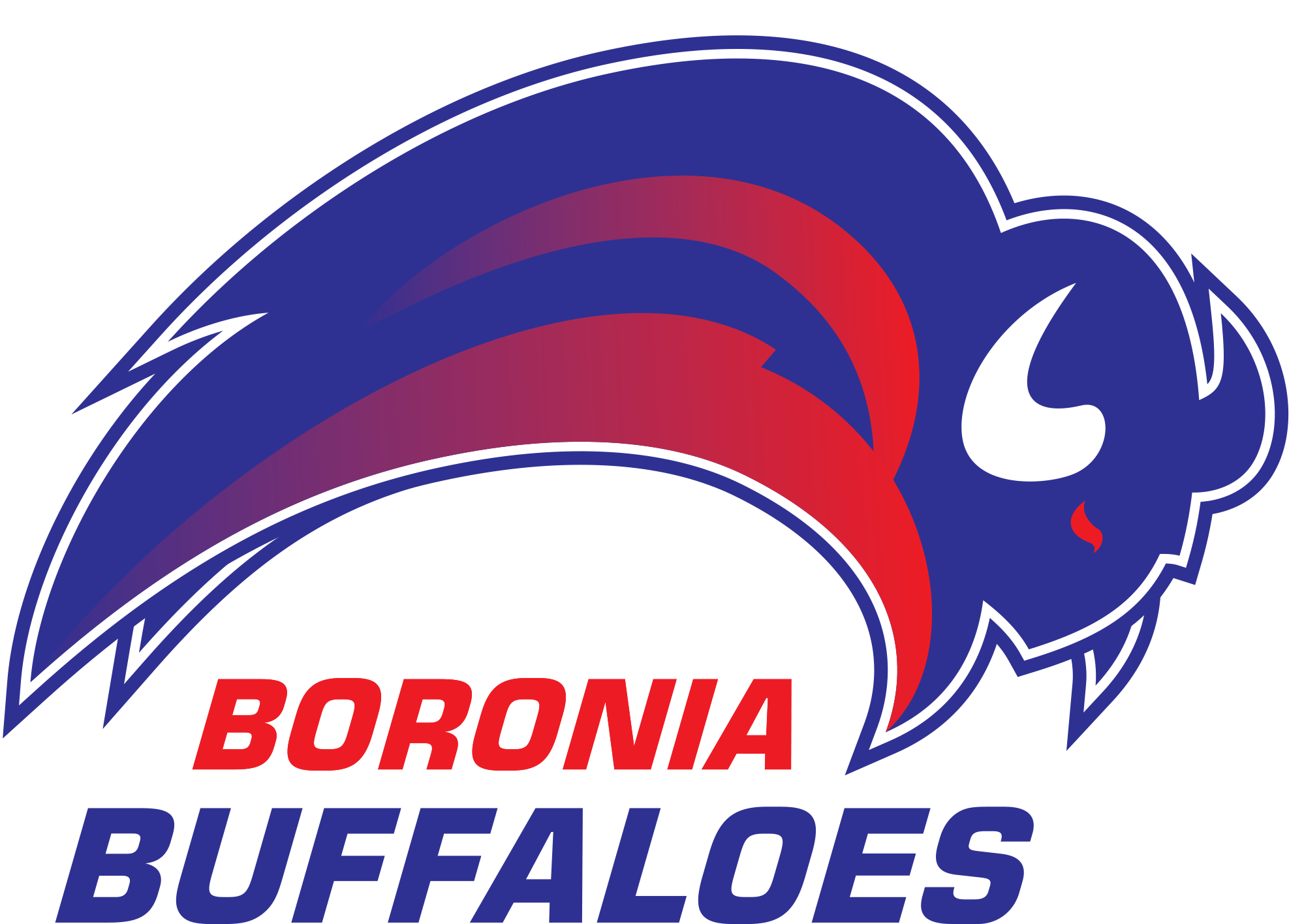 Boronia Buffaloes Logo